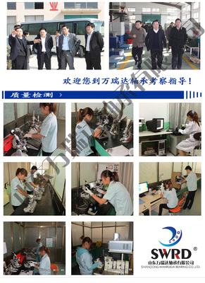 进口外球面轴承座UCP215-47